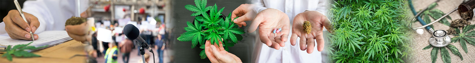Medicinal my way